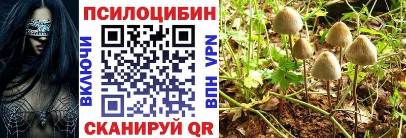 Псилоцибиновые грибы мицелий  Купить где  Козельск 